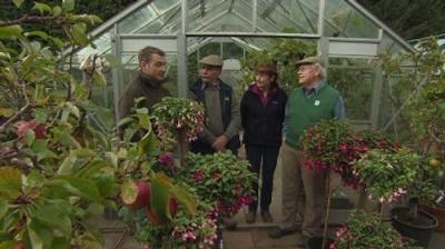 The Beechgrove Garden