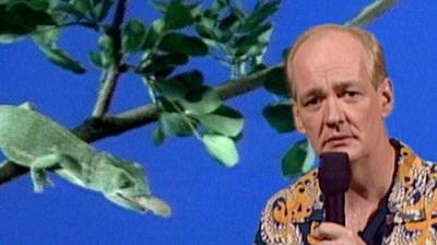 Whose Line Is It Anyway?