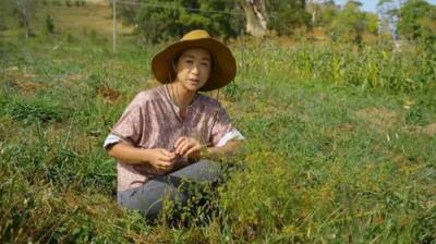 Gardening Australia