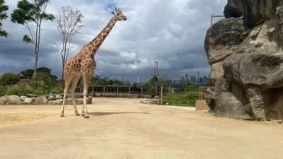 Taronga: Who's Who In The Zoo