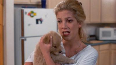 Beverli Hilsas, 90210