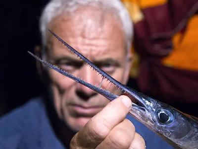 River Monsters