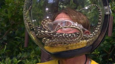I'm a Celebrity...Get Me Out of Here!