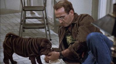 Hill Street Blues
