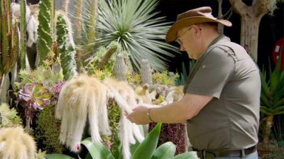 Gardening Australia
