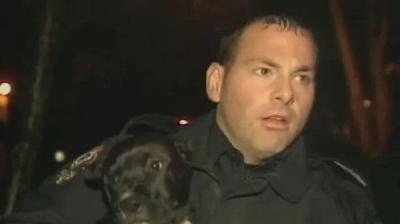 To Serve and Protect