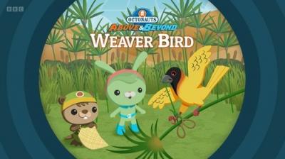 Octonauts: Above & Beyond