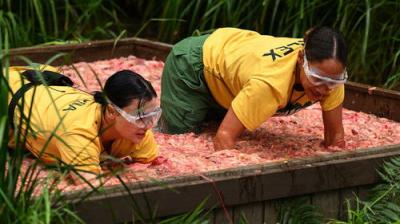I'm a Celebrity...Get Me Out of Here!