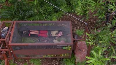 I'm a Celebrity...Get Me Out of Here!
