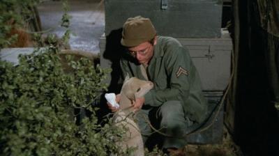 M*A*S*H