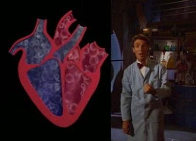 Bill Nye the Science Guy