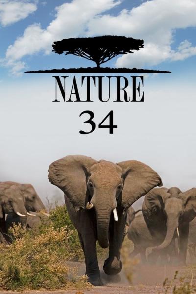 Nature filmas online