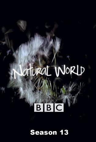 Natural World filmas online