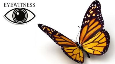 Eyewitness