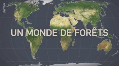 Le Dessous des cartes