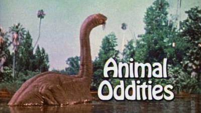 Marty Stouffer's Wild America