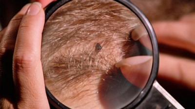 Žvaigždžių vartai. Visata