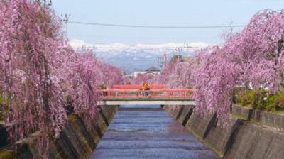 Cycle Around Japan