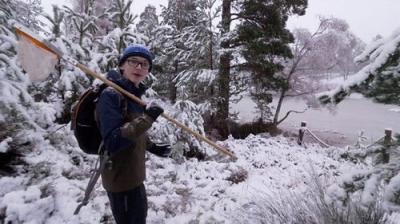 Countryfile
