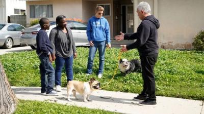 Cesar Millan: Better Human, Better Dog