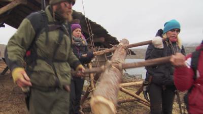 Den siste viking
