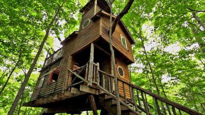 Treehouse Masters
