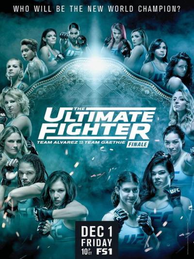 The Ultimate Fighter filmas online