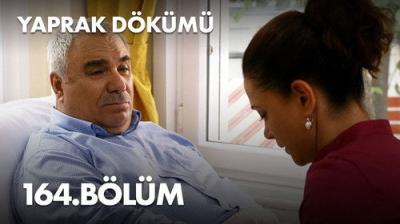 Yaprak Dökümü