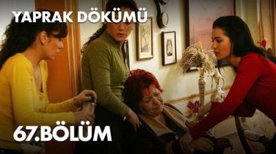 Yaprak Dökümü