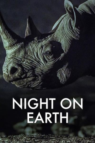 Night on Earth filmas online