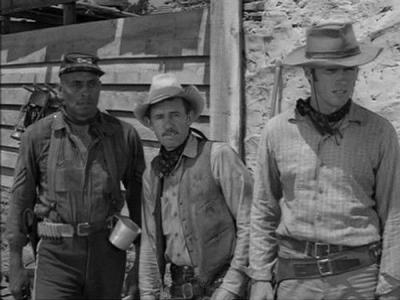 Rawhide