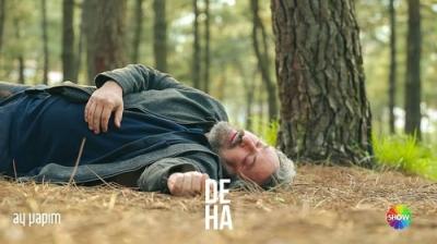 Deha