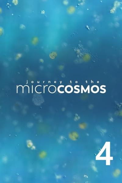 Journey to the Microcosmos filmas online