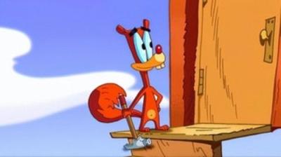 Squirrel Boy
