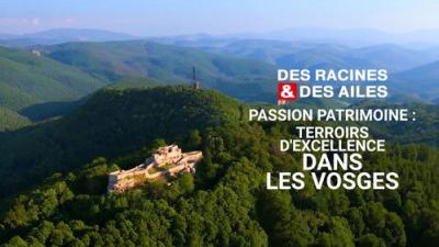 Des racines & des ailes
