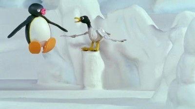Pingu