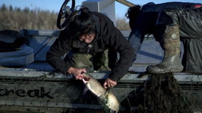 Life Below Zero