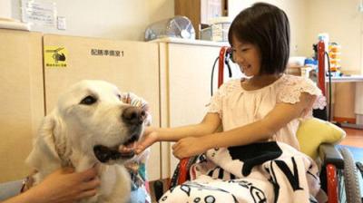 NHK Documentary