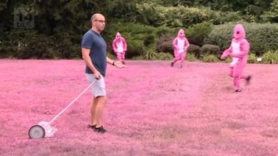 Nepraktiški juokdariai