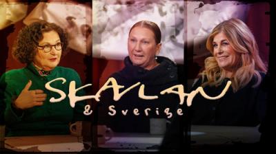 Skavlan & Sverige