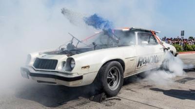 Roadkill