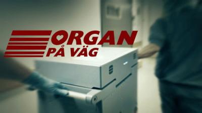 Vetenskapens värld