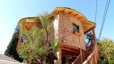 Treehouse Masters
