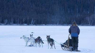 Life Below Zero