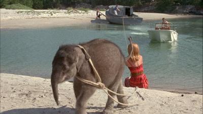 Flipper