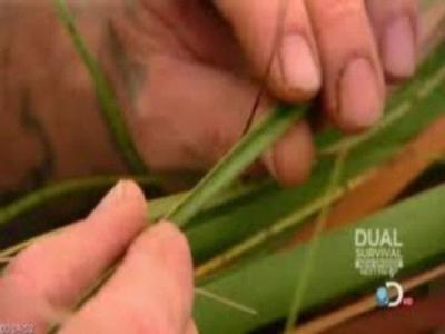 Dual Survival