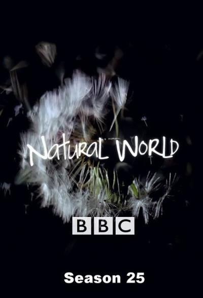 Natural World filmas online