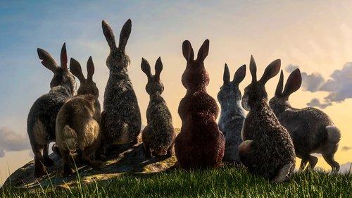 Watership Down filmas žiurėti online