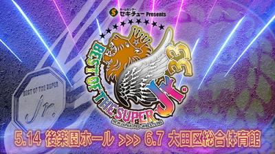 New Japan Pro Wrestling