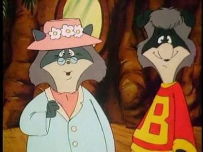 The Raccoons